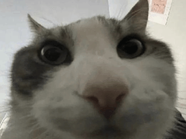 You just dont want :(